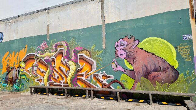אומנות רחוב, לימסולה