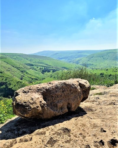 כאן בשבייל הנוף