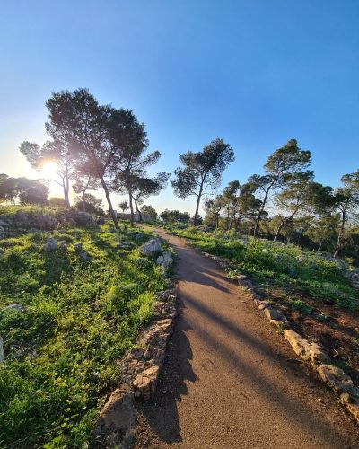 שביל התנ"ך בהר שאול