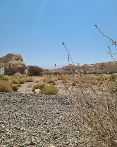 לדעת לעצור ובאמת לספוג